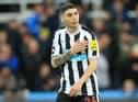 Newcastle United midfielder Miguel Almiron. 