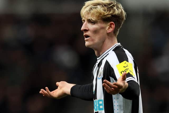 Anthony Gordon of Newcastle United is seen during the Premier League match between Newcastle United and West Ham United at St. James Park on February 04, 2023 in Newcastle upon Tyne, England. (Photo by Ian MacNicol/Getty Images)