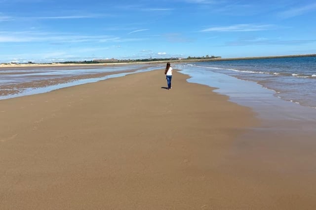 Enjoying that open sand on a walk.