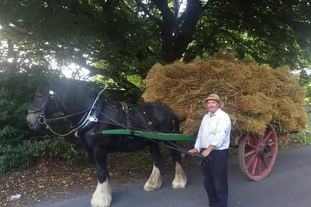 Lion spent most of his life at Beamish.