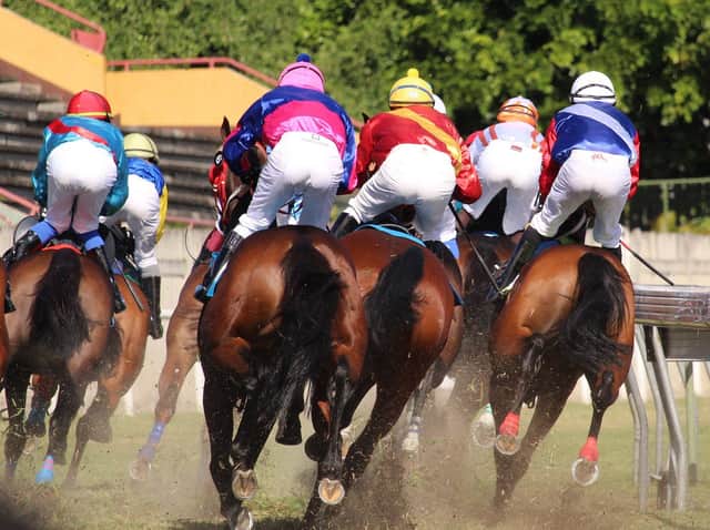 Horses get a bum deal from racing...