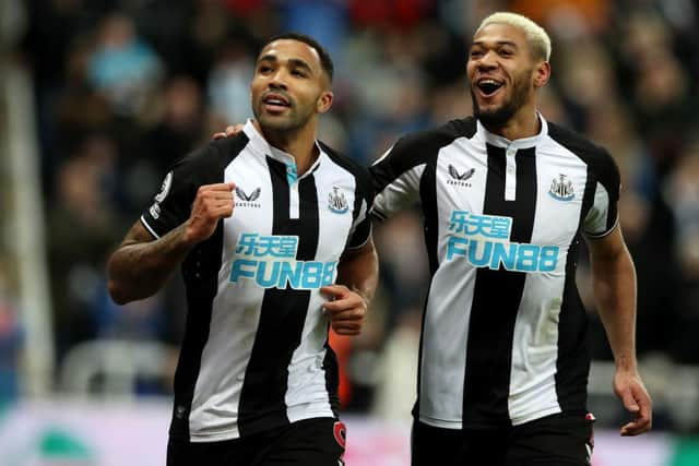 Callum Wilson celebrates his goal with Joelinton.