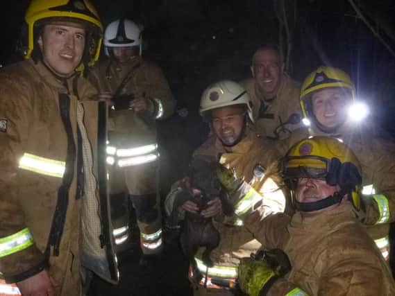 The team with Fizz the dog following the pet's rescue. Photo by Tyne and Wear Fire and Rescue Service.