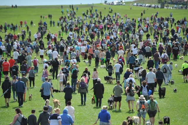 Great North Dog Walk competitors taking part in the 2017 event held on The Leas, South Shields.