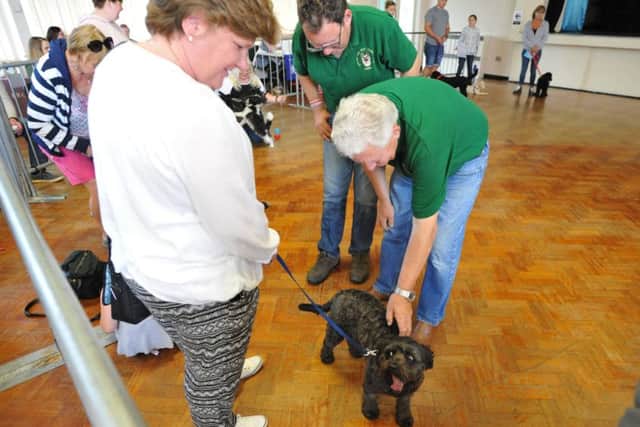 Tyne and Wear Pet Service Dog Show held at Chuter Ede Community Association, South Shields.