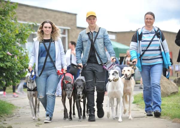 Owners Kelly Hilton, Jade and Brenda Allen wih dogs Ice, Micky, Juno, Ritchy, and Toby at Tyne and Wear Pet Service Dog Show held at Chuter Ede Community Association, South Shields.