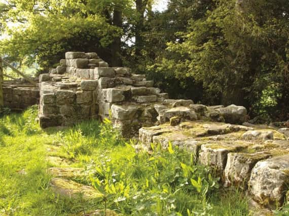 More than 50 holes have been found at the Brunton Turret section of the wall.