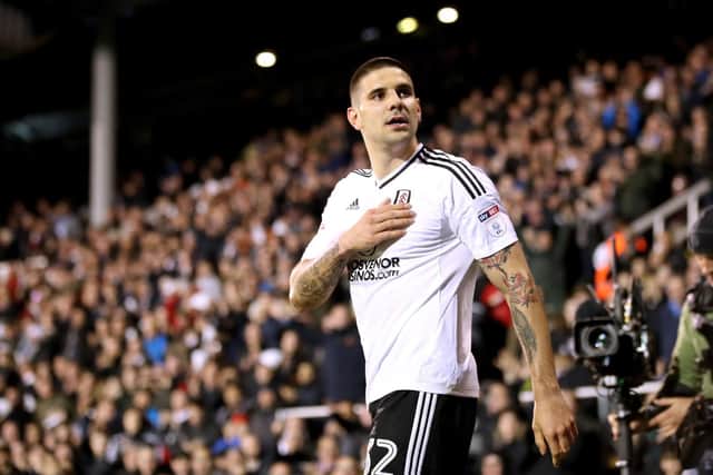 Aleksandar Mitrovic.
