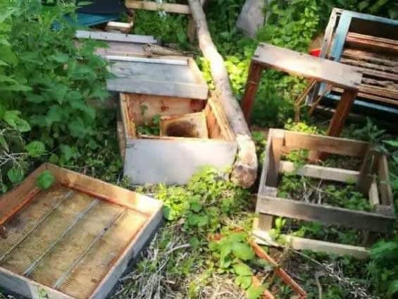 An estimated 120,000 bees were killed by vandals when they targeted hives belonging to Steve Cattanach.