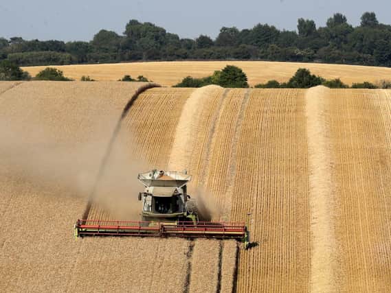 Farmers have called on the Government to make food security a top priority on the day the country's cupboards would run bare if households relied only on British produce. Picture by Gareth Fuller/PA Wire