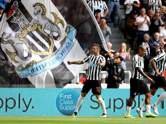 Joselu celebrate's Newcastle's equaliser against Tottenham.