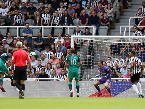 Dele Alli scores Tottenham's second goal against Newcastle.