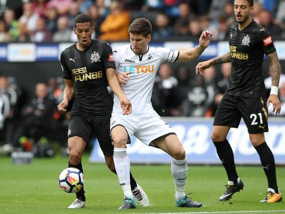 Federico Fernandez could make his Newcastle United debut against Cardiff City this weekend.