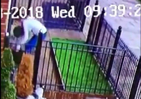 A woman was caught on CCTV taking plant pots from a house in broad daylight. She was in a car using stolen number plates.