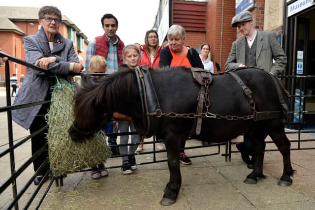 Members ion the public Marley a Pit Pony outside of South Shields Museum and Art Gallery. Picture by FRANK REID