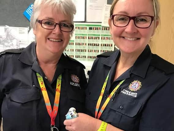 Community firefighters Gwen Adams-Clark and Karen Hobkirk with the budgie.