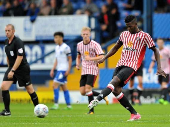 Papy Djilobodji and Didier Ndong are set to return to Sunderland