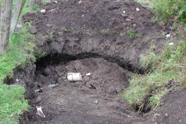 Holes left behind by people digging for bottles