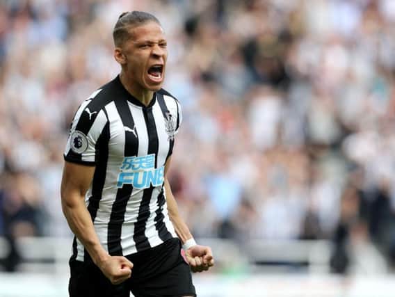 Newcastle United Dwight Gayle is currently on loan at Championship side West Brom