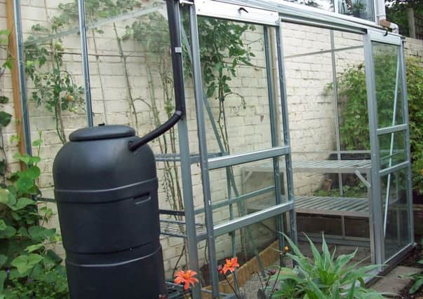 Greenhouse cleaned and emptied (apart from tomatoes).
