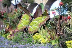 One of the exotic roundabouts in Durham City. Picture by RHS