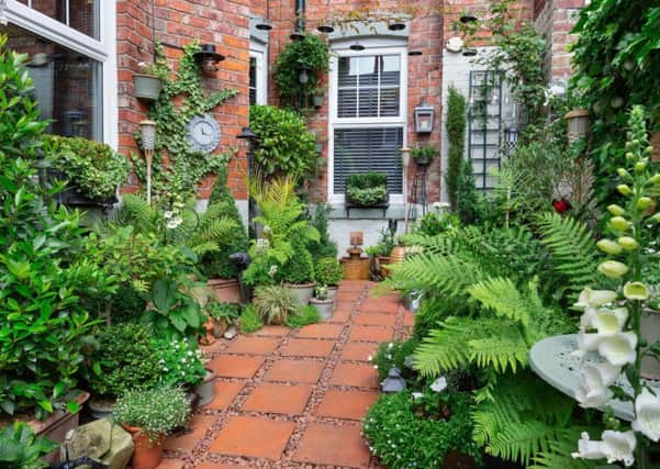 Richard Small's garden in South Shields. Photo by BBC.