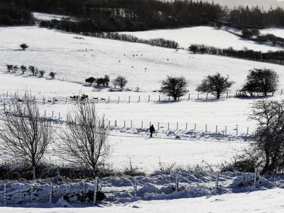 A man walks his dog through a snowy field in Durham. Pic: Owen Humphreys/PA Wire.