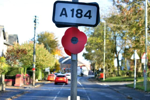 East Boldon's giant poppy trail