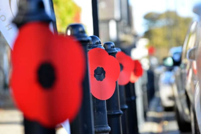 East Boldon's giant poppy trail