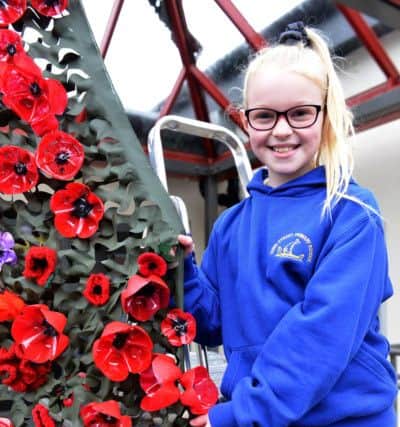 Dunn Street Primary school pupil Bethany Weightman with the Poppy Display created by pupils at the school Picture by FRANK REID