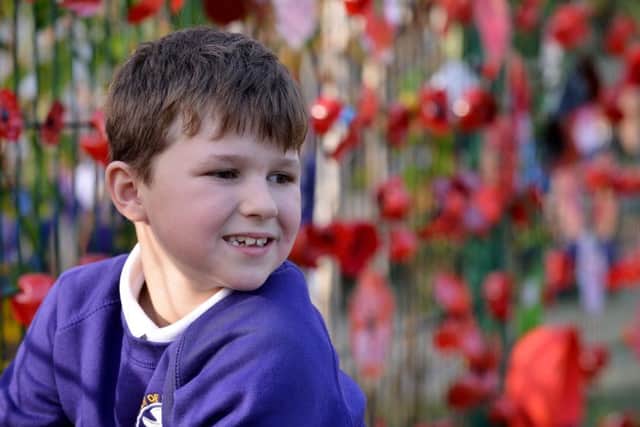 Jonah Lloyd looking at their poppy display