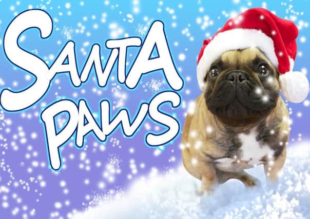 It's time to send in your Santa Paws pet pictures.