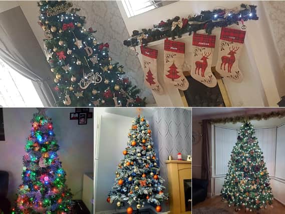 Your Christmas tree pictures. Pictures clockwise from top by Deanna Moore, Tracey Reay, Lyndsey Johnson and Louise Bell.