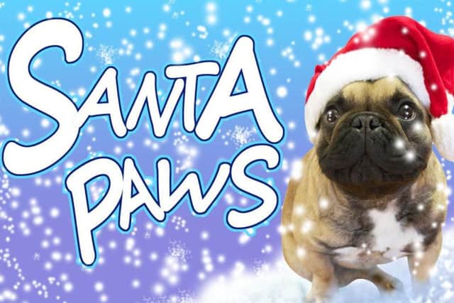 Vote now for your favourite Santa Paws picture.