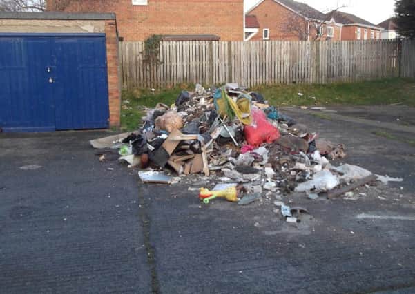 The rubbish dumped in Green Lane, South Shields