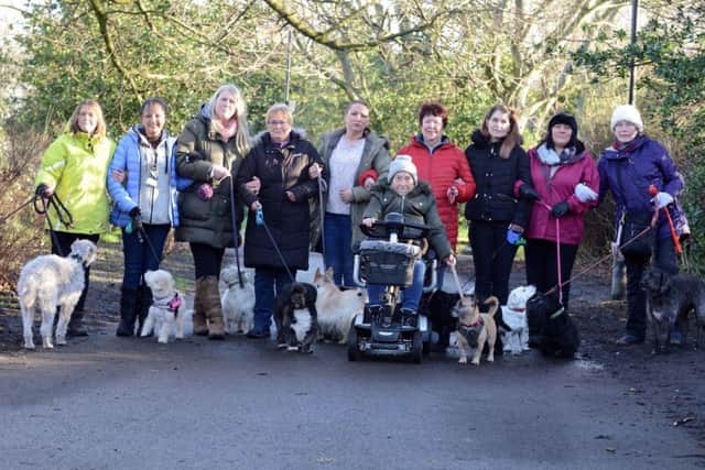 North Marine Park dog walkers want action over danger strays