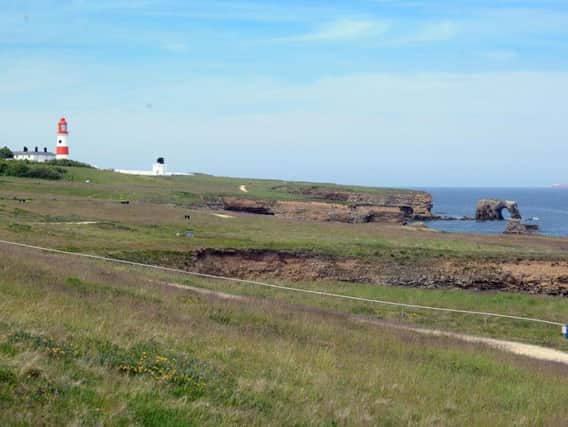 A sunny day at Whitburn cliffs, south of Souter Lighthouse