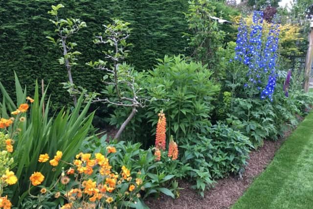 Spring garden with Strulch mulch. Picture by Strulch