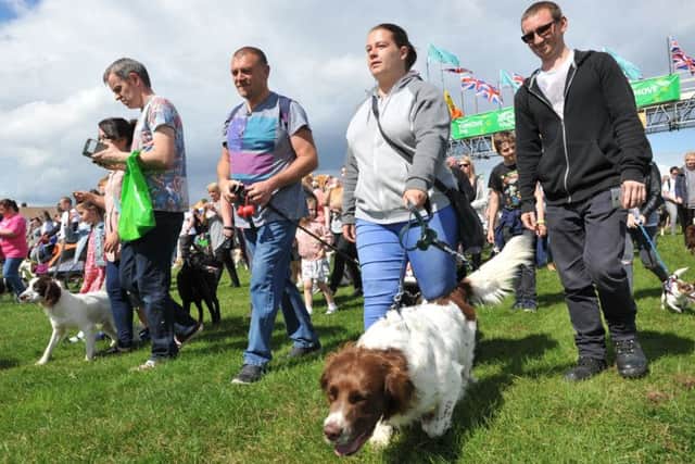 The Great North Dog Walk attracts thoudands of animal lovers