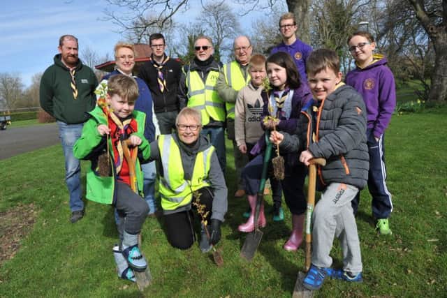 Brownsea Scout's help Friends of West Park plant trees around the park.
