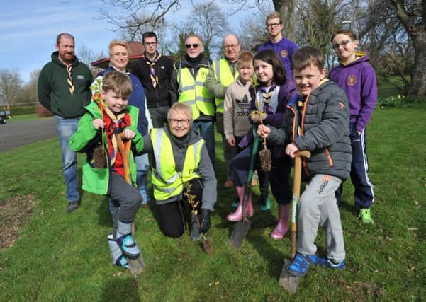 Brownsea Scout's help Friends of West Park plant trees around the park.