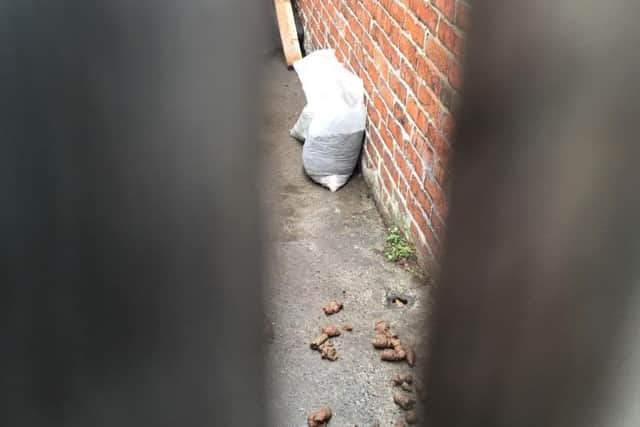 Brooke Gowman, of John Williamson Street in South Shields, was fined after failing to remove sacks of rubbish and dog faeces from her back yard.
