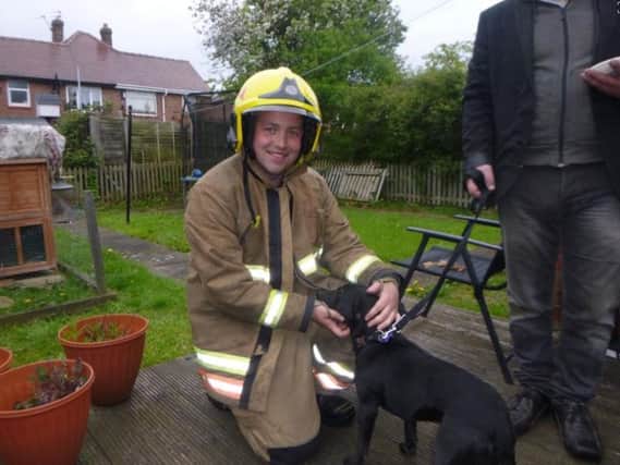 Firefighter Armstrong from South Shields Fire Station with Harvey the Terrier. 
Photo by Tyne and Wear Fire and Rescue Service.