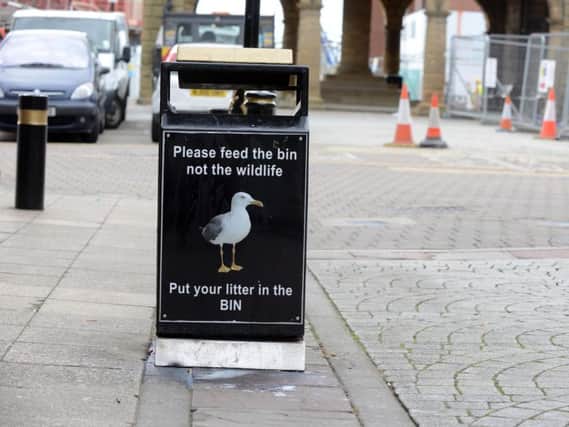 You have been sharing your views on seagulls in South Shields.