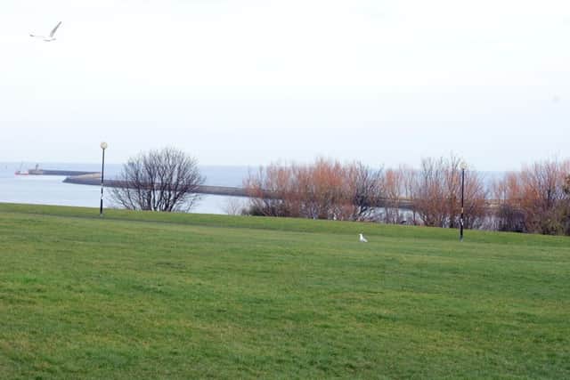 North Marine Park could become a hub for music and theatre events.