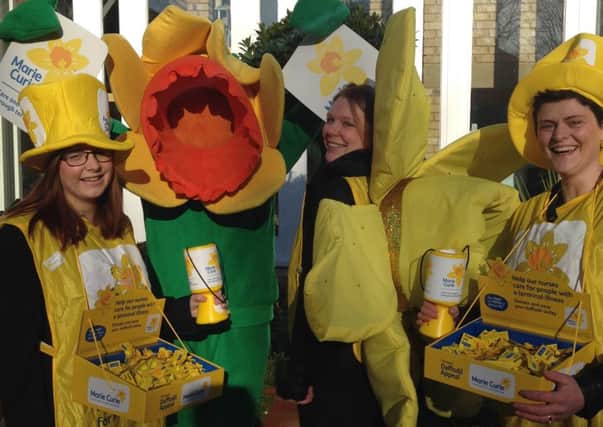 Marie Curie Great Daffodil Appeal.
