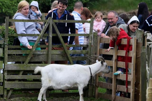 The farm at Bede's world was popular with youngsters.