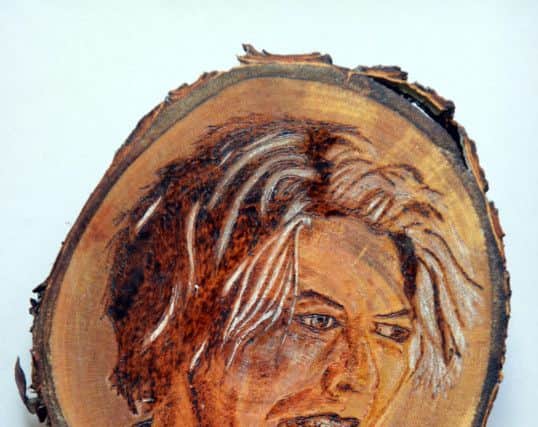 Lisa Cooley's portrait of David Bowie.