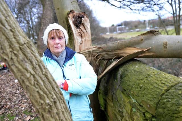 Sylvia Beckett is angry at the state of Jarrow Cemetery.