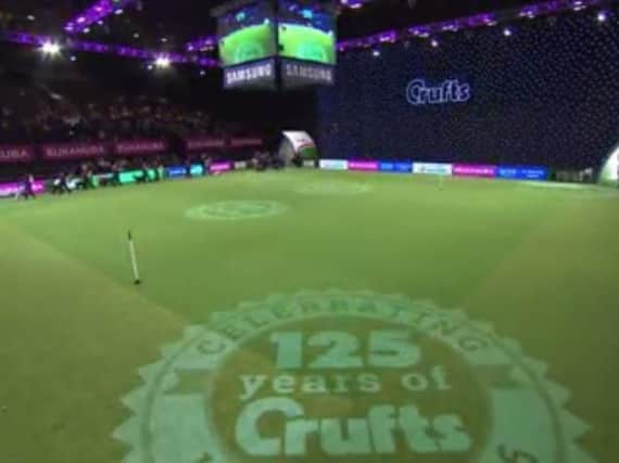 Crufts began today in Birmingham. Picture: Crufts YouTube,